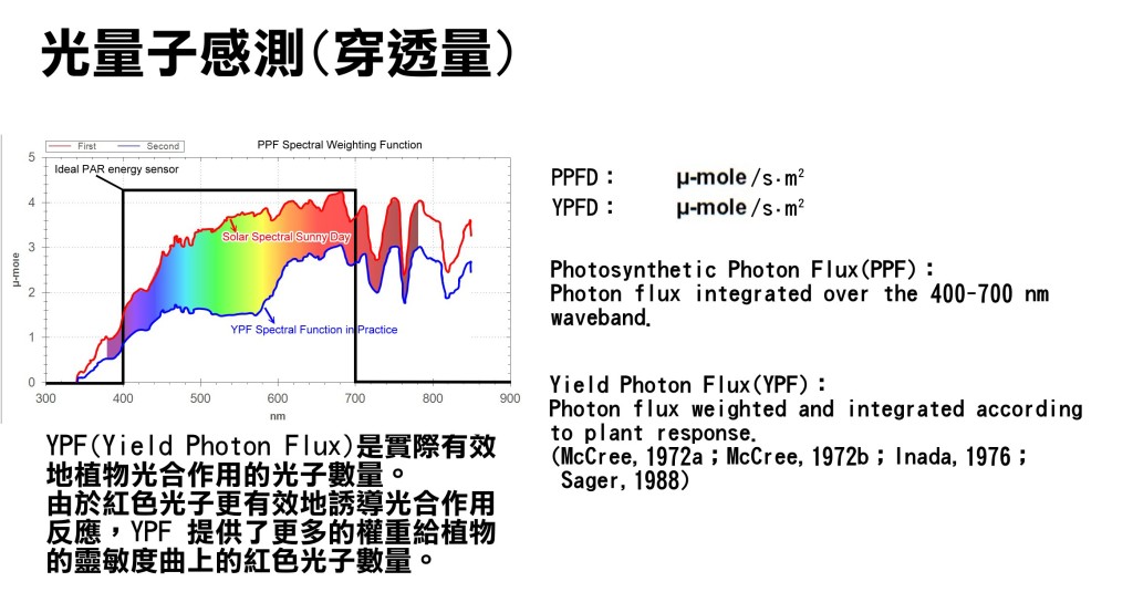 ppf-ypf